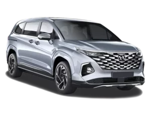 Hyundai Custin